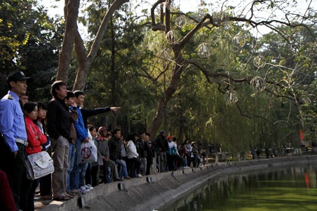 Chùm ảnh: Hà Nội nắng đẹp, cụ rùa lại nổi - 3