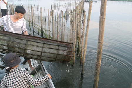 “Thuỷ tặc” đại náo phá Tam Giang  - 2