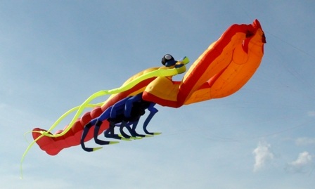 Hội ngộ kỷ lục gia lần thứ 20 - 12 Hội ngộ kỷ lục gia lần thứ 20 - 12