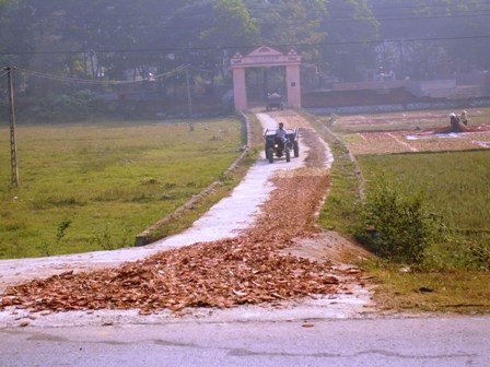 Hãi hùng nhìn thuốc Bắc rải đầy đường - 3