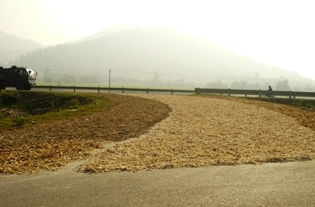 Hãi hùng nhìn thuốc Bắc rải đầy đường - 2