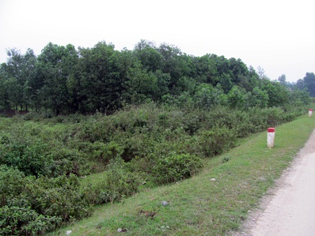 Bài 1: Cấp bán đất bừa bãi, khai man lý lịch hồ sơ - 1 Bài 1: Cấp bán đất bừa bãi, khai man lý lịch hồ sơ - 1