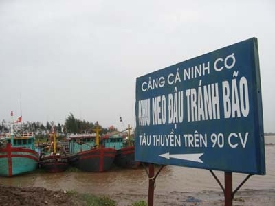 47 người mất tích vì gió mùa đông bắc bất thường - 1