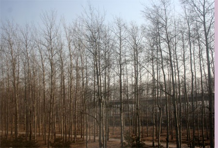 Chùm ảnh: Ấn tượng Bắc Kinh - 4