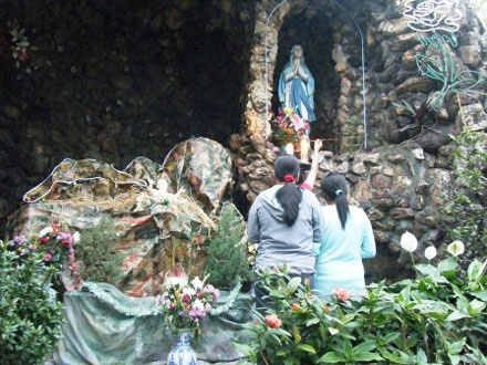 Ấm áp sắc màu Noel - 6