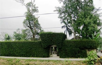 Đẹp mê hồn nét quê Tùng Ảnh - 2