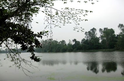 Đẹp mê hồn nét quê Tùng Ảnh - 12