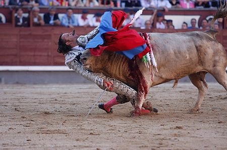 Những bức ảnh sửng sốt nhất năm 2010 - 4