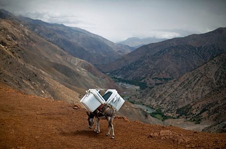 Những bức ảnh sửng sốt nhất năm 2010 - 7