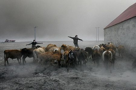 Những bức ảnh sửng sốt nhất năm 2010 - 8