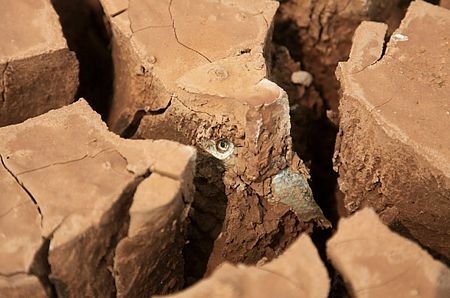 Những bức ảnh sửng sốt nhất năm 2010 - 9