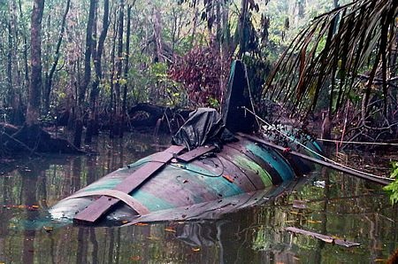 Những bức ảnh sửng sốt nhất năm 2010 - 10