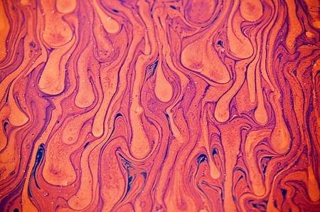 Những bức ảnh sửng sốt nhất năm 2010 - 1