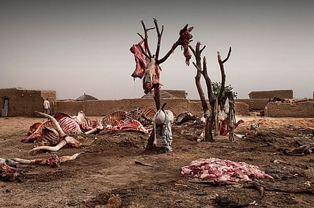 Những bức ảnh sửng sốt nhất năm 2010 - 2