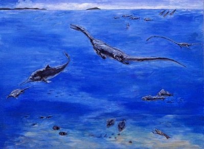 Trung Quốc phát hiện “kho báu” hóa thạch 20.000 năm - 4