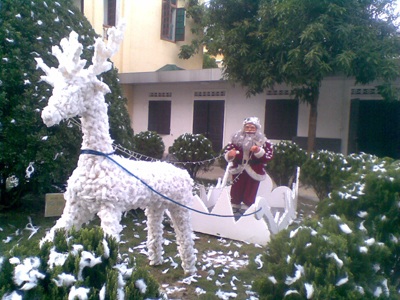 Ấm áp sắc màu Noel - 17