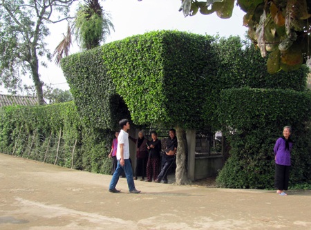 Đẹp mê hồn nét quê Tùng Ảnh - 4