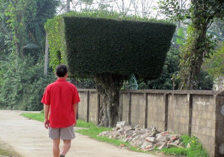 Đẹp mê hồn nét quê Tùng Ảnh - 10