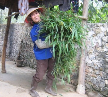 Người mẹ già và những đứa con tâm thần - 3