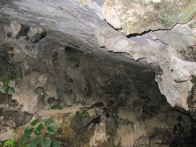 Di chỉ khảo cổ bị "bỏ rơi" - 1