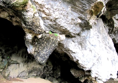 Di chỉ khảo cổ bị "bỏ rơi" - 3