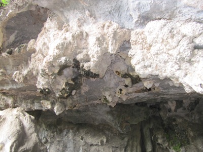 Di chỉ khảo cổ bị "bỏ rơi" - 4