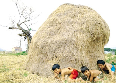 Cảnh báo thiếu hụt phụ nữ trong tương lai - 1