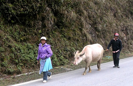 Nhịp sống Sa Pa trong giá lạnh 3,7 độ C - 2 Nhịp sống Sa Pa trong giá lạnh 3,7 độ C - 2