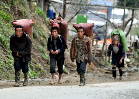 Nhịp sống Sa Pa trong giá lạnh 3,7 độ C - 3 Nhịp sống Sa Pa trong giá lạnh 3,7 độ C - 3