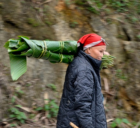 Nhịp sống Sa Pa trong giá lạnh 3,7 độ C - 6 Nhịp sống Sa Pa trong giá lạnh 3,7 độ C - 6