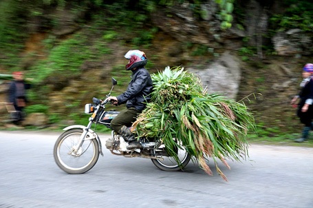 Nhịp sống Sa Pa trong giá lạnh 3,7 độ C - 7 Nhịp sống Sa Pa trong giá lạnh 3,7 độ C - 7