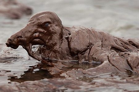 Những khoảnh khắc khó quên nhất của năm - 6