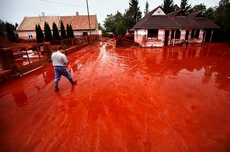 Những khoảnh khắc khó quên nhất của năm - 7