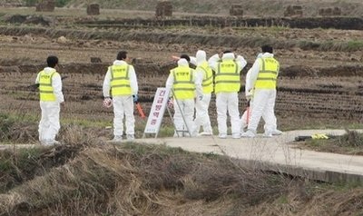 Hàn Quốc “vật lộn” với bệnh lở mồm long móng - 1 Hàn Quốc “vật lộn” với bệnh lở mồm long móng - 1
