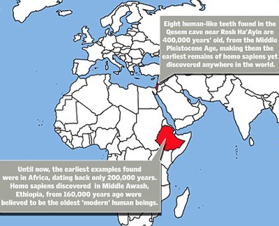 Phát hiện chiếc răng người 400.000 năm tuổi - 4 Phát hiện chiếc răng người 400.000 năm tuổi - 4