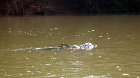Xác chết nhiều nghi vấn trên sông Ngàn Sâu - 1