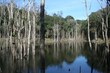 Măng Đen hoang sơ - Đà Lạt 2 của Việt Nam - 1