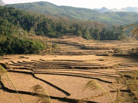 Nét đẹp vùng biên những ngày giáp tết - 12