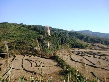 Nét đẹp vùng biên những ngày giáp tết - 13