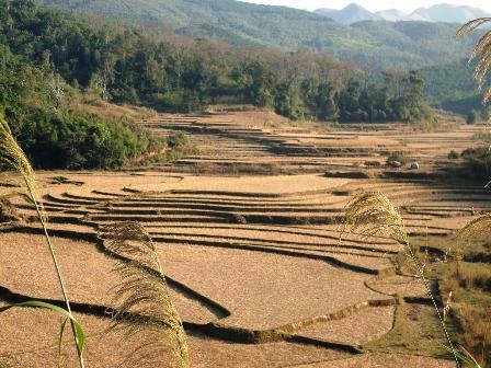 Nét đẹp vùng biên những ngày giáp tết - 15