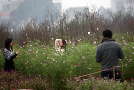 Vườn đào Hà Nội vào Xuân - 10