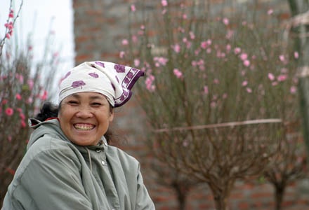 Vườn đào Hà Nội vào Xuân - 6