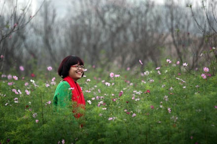 Vườn đào Hà Nội vào Xuân - 9