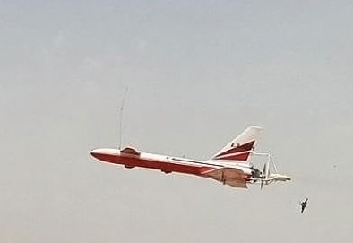 Iran “bắn hạ máy bay do thám phương Tây” - 1