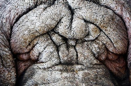 Những hình ảnh nổi bật tuần qua - 3