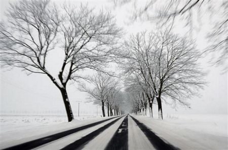 Những hình ảnh nổi bật tuần qua - 7