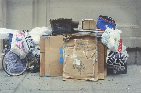 Kinh ngạc tranh vẽ giống y tạc ảnh chụp - 1