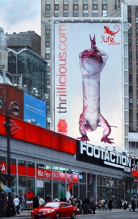 Kinh ngạc tranh vẽ giống y tạc ảnh chụp - 7