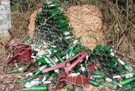 Dùng vỏ chai bia làm bờ rào - 4