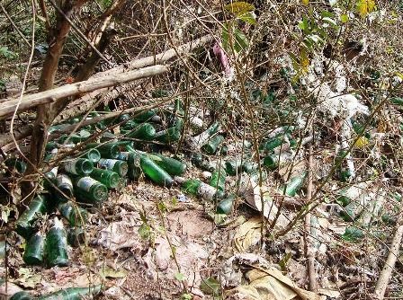 Dùng vỏ chai bia làm bờ rào - 5